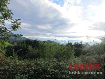 Terreno rústico en venta en 238