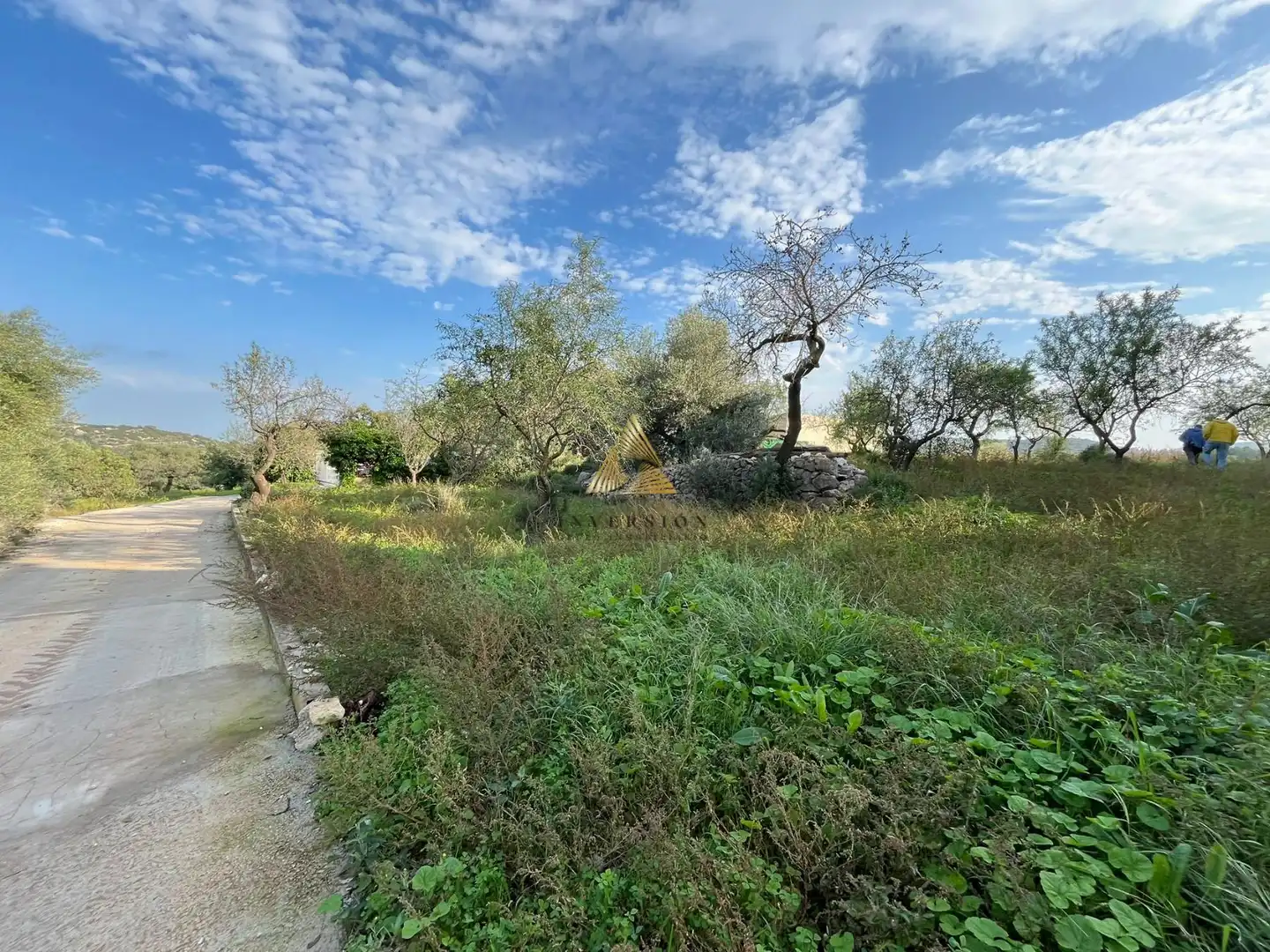 Residential land for sale in Cervera del Maestre, imagen 5