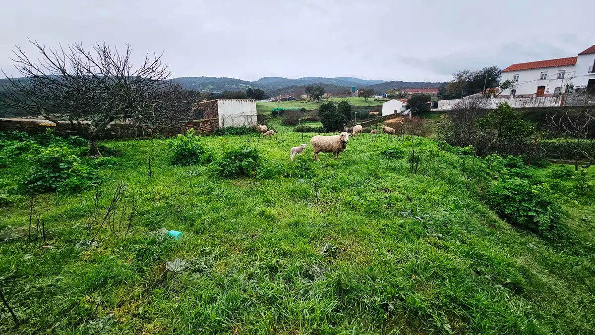 Residential for sale in Arroyomolinos de León