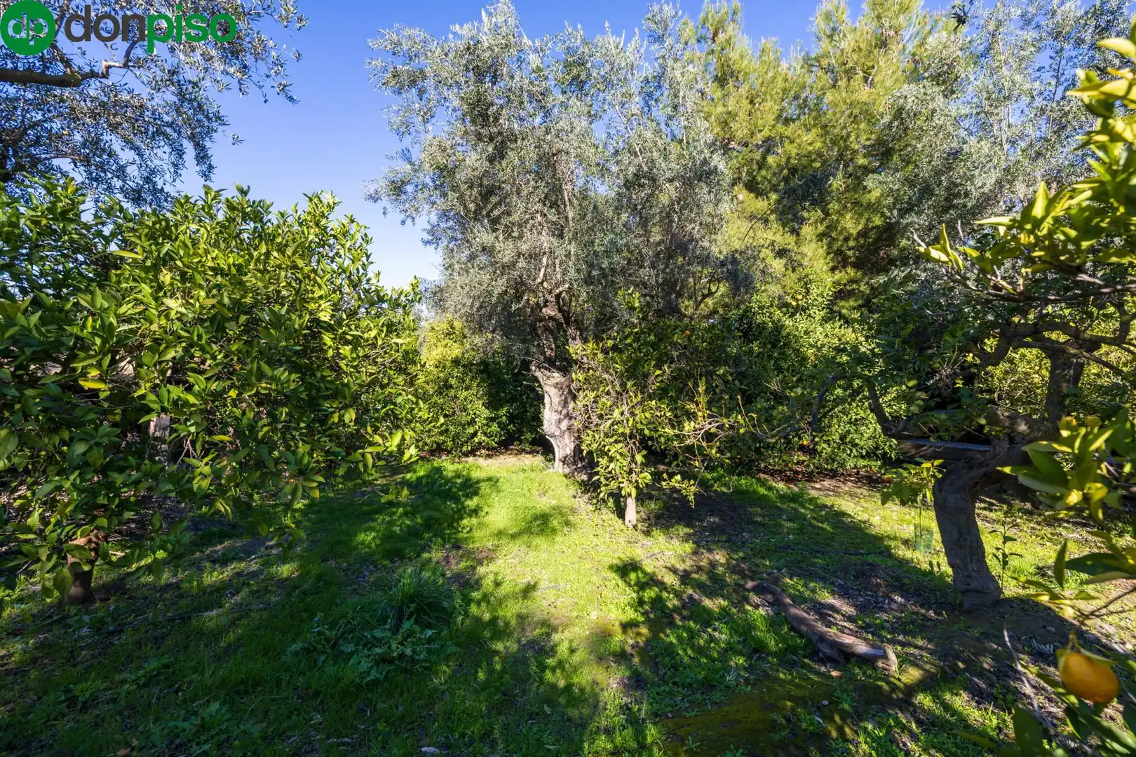 Villa avec terrasse à vendre à Calle del Nacimiento, imagen 56