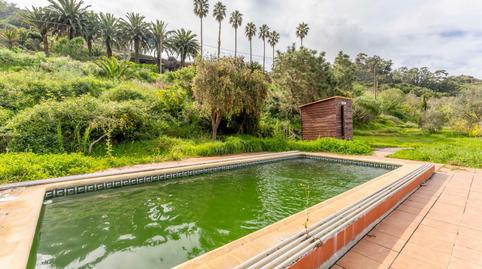 Photo 4 of House or chalet to rent in Tegueste, Santa Cruz de Tenerife