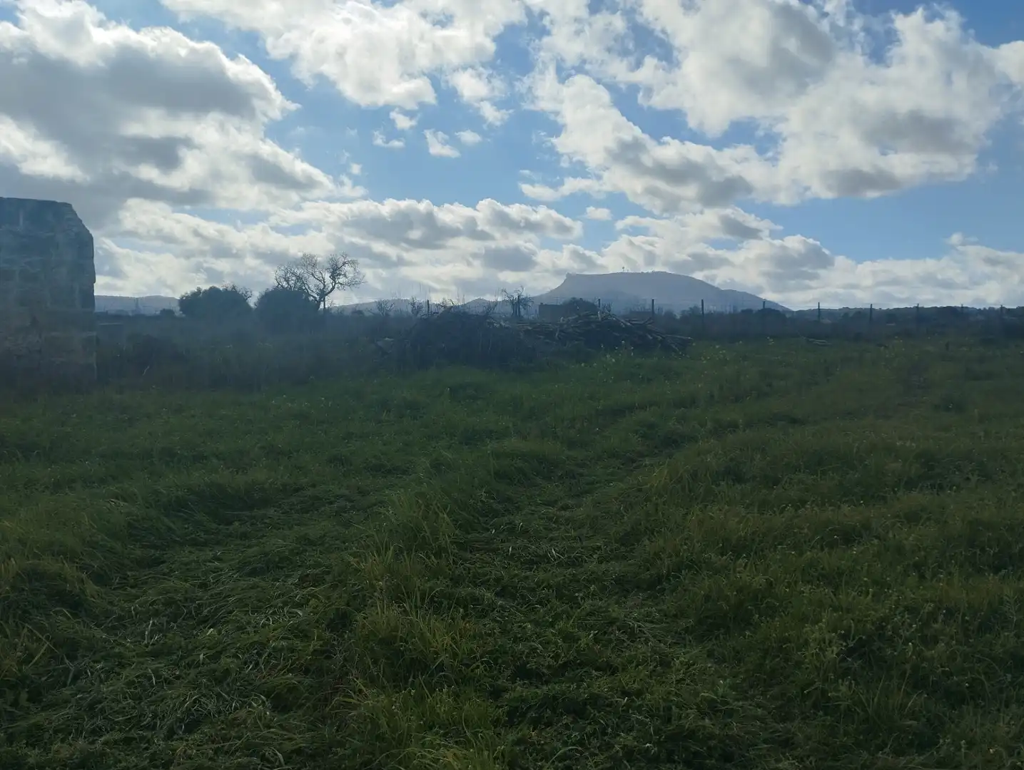 Terrain résidentiel à vendre à Algaida, imagen 10