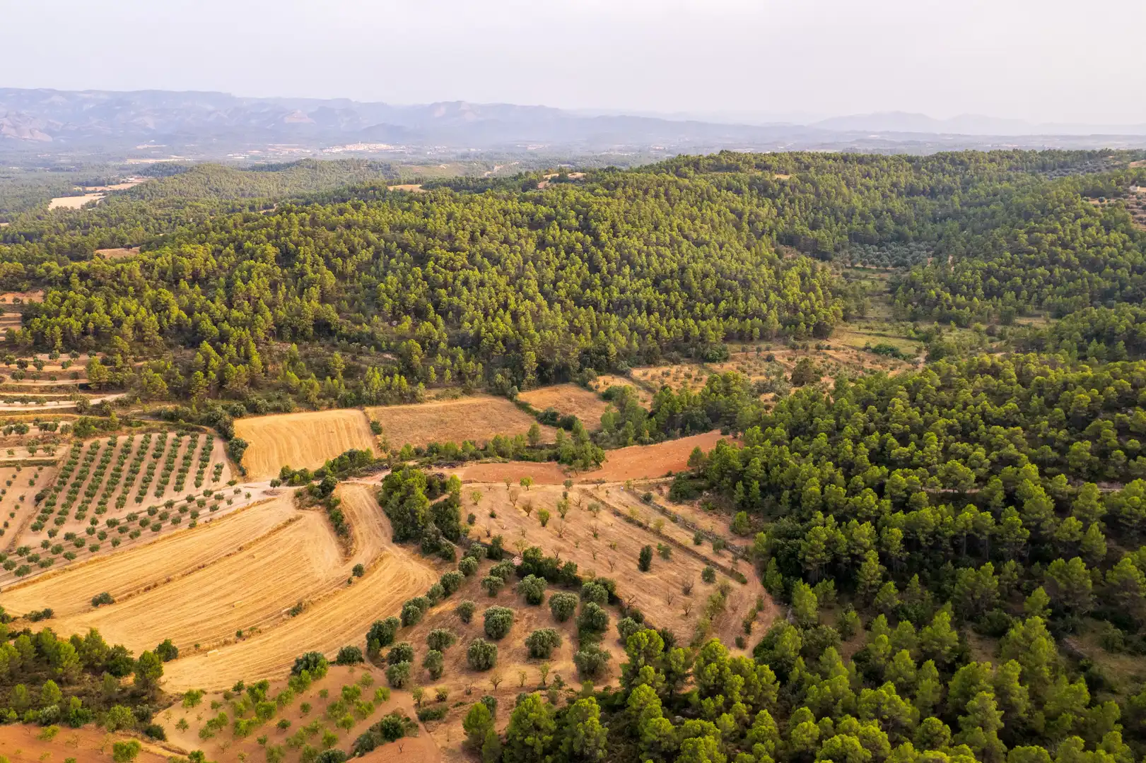 Terreni e lotti in vendita a Lledó, imagen 2
