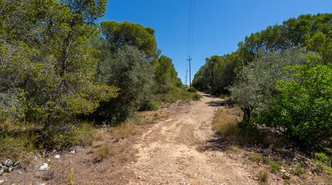 Foto 4 de Terreno en venta en Partida Carratillana, 24, Roques Daurades - L'Estany, L'Ametlla de Mar