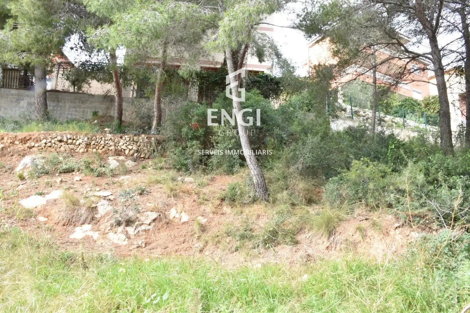 Rural land for sale in GLADIOL, imagen 8