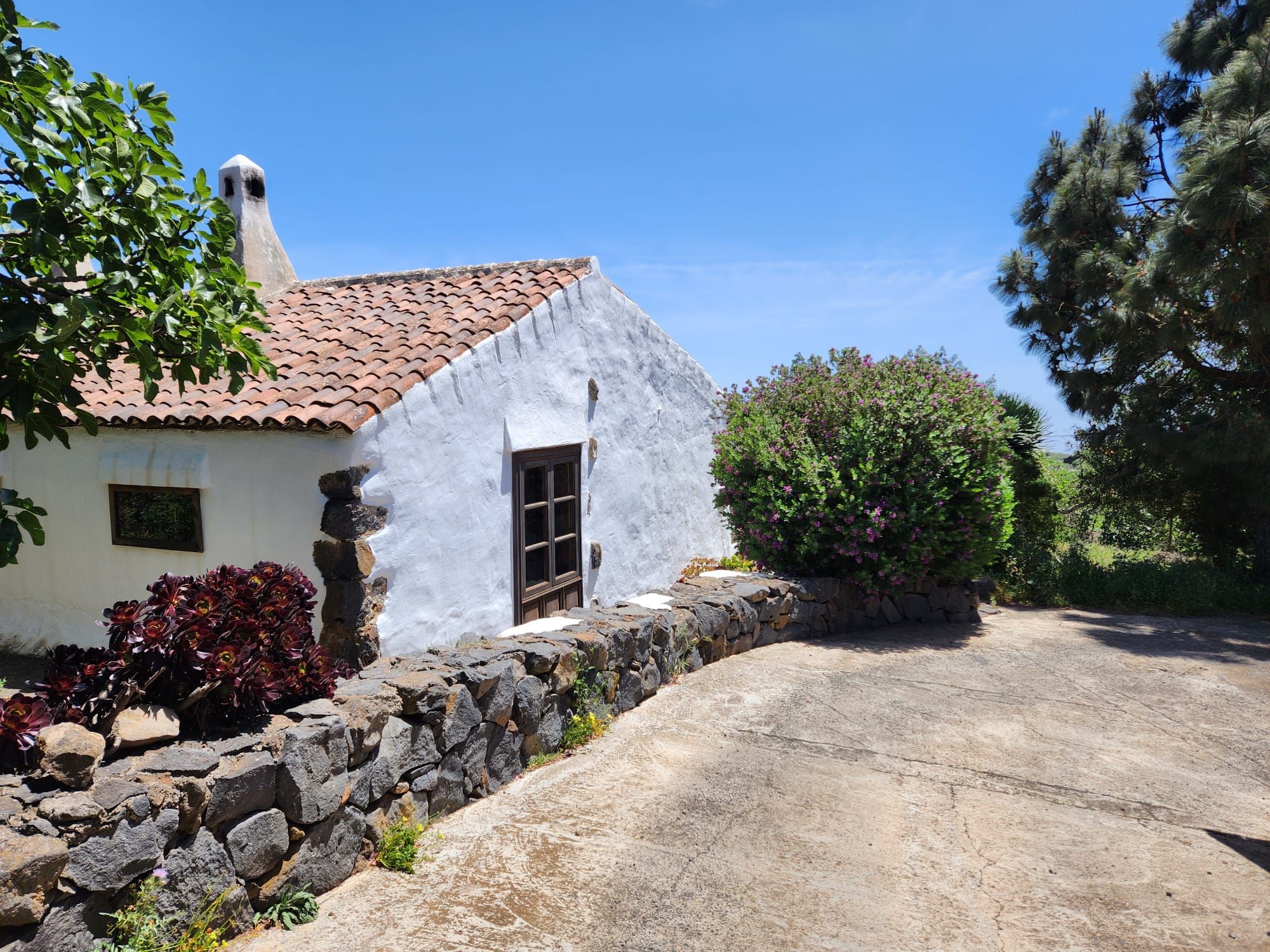 Vista exterior de Casa o xalet en venda en El Rosario amb Jardí privat, Terrassa i Moblat