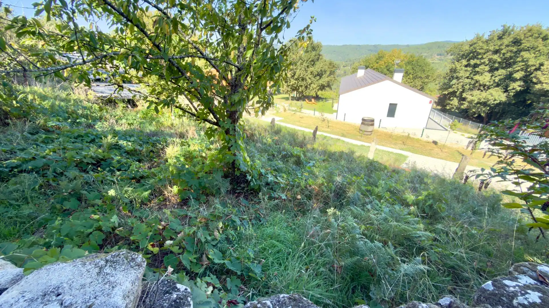 Casa rústica amb jardí en venda a O Pereiro de Aguiar, imagen 17
