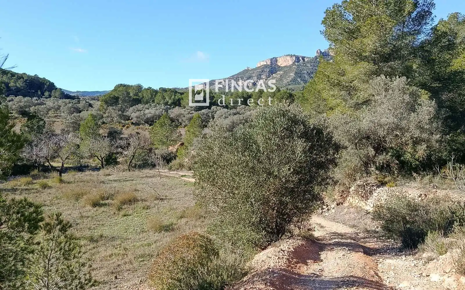 Finca rústica en venta en Miravet