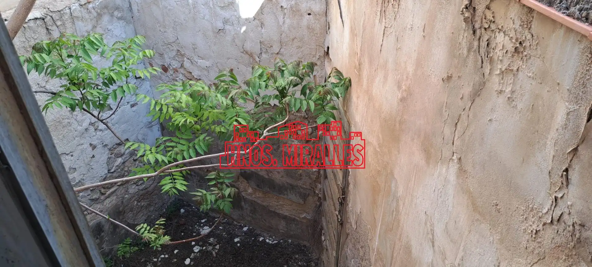 Houses for sale in Aspe  with Terrace