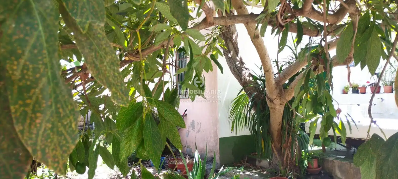 Jardí de Casa o xalet en venda en La Orotava amb Terrassa i Traster