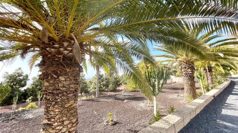 Photo 2 of Houses for sale in Calle Principal el Draguito, 55, Granadilla de Abona ciudad, Granadilla de Abona