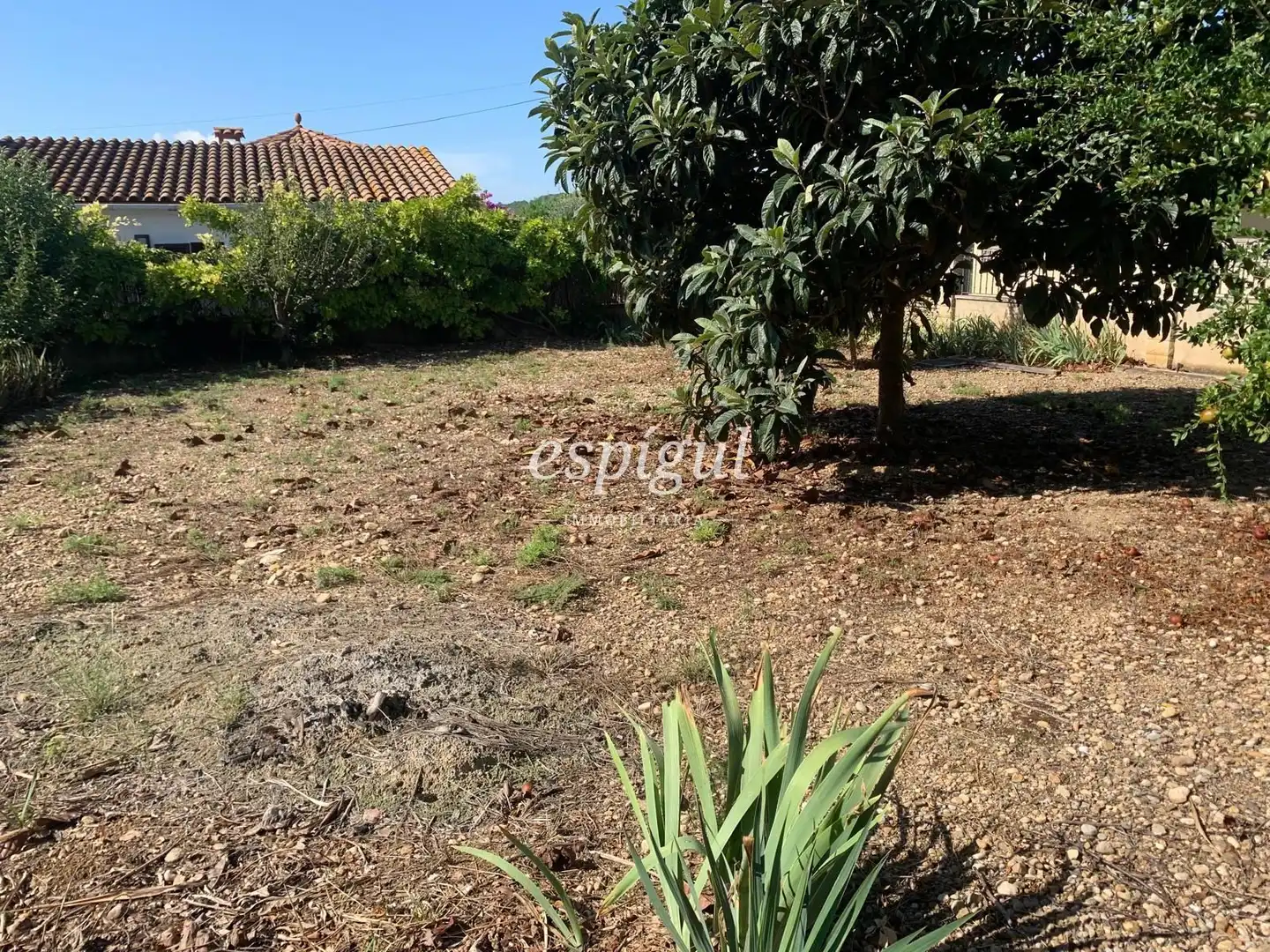 Land for sale in Dels pirineus, Bàscara