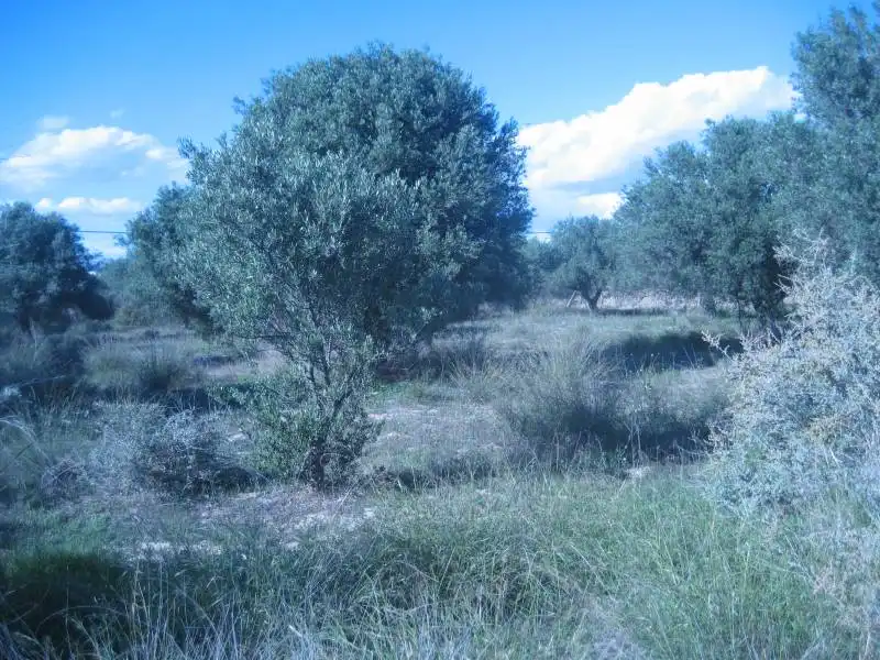 Grundstücke und Bauplätze zum Verkauf in Huércal-Overa, imagen 13