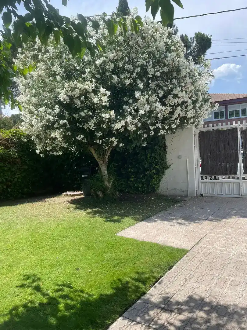 Vista exterior de Ático en venta en Pozuelo de Alarcón con Parquet