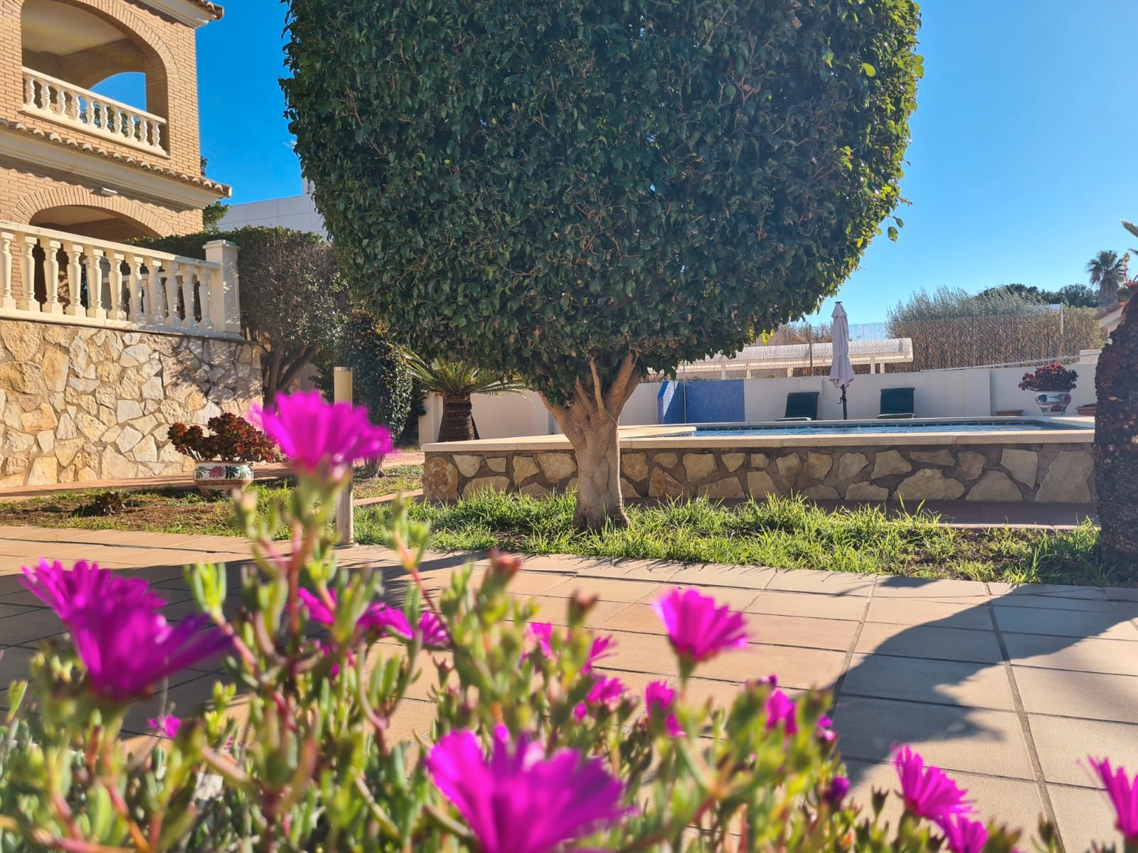 Garden of House or chalet for sale in L'Eliana  with Private garden, Terrace and Swimming Pool