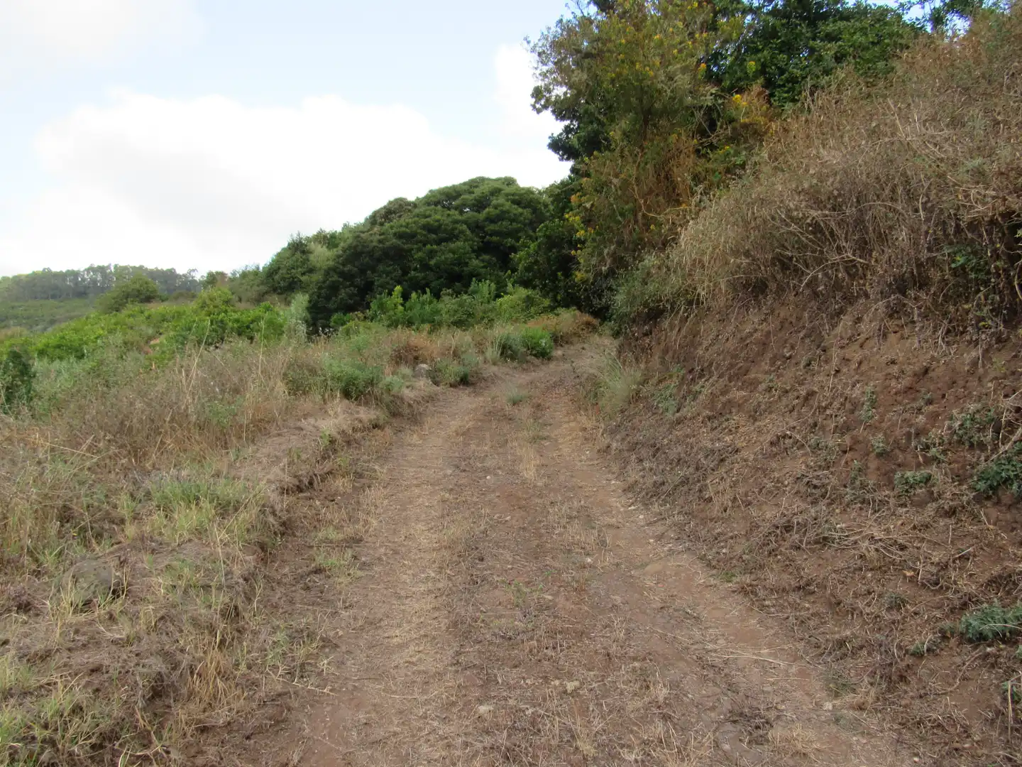 Land for sale in Moya (Las Palmas)