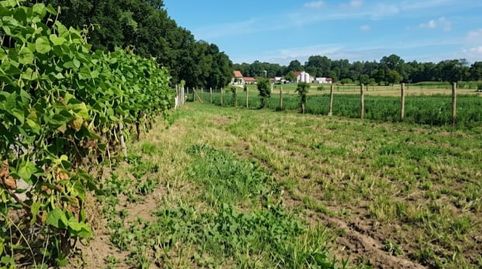 Foto 5 de Terreno en venta en Adina - Portonovo, Sanxenxo