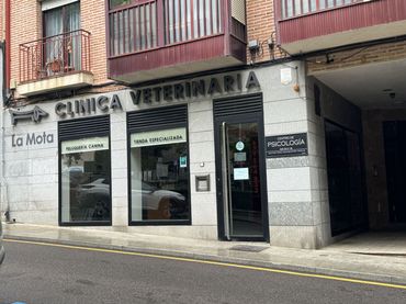 Local comercial en alquiler en Plaza del Grano 6