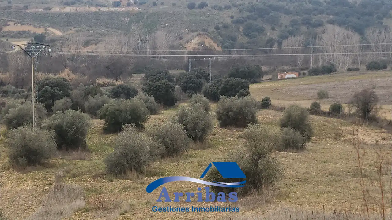 Country homes for sale in Escalona
