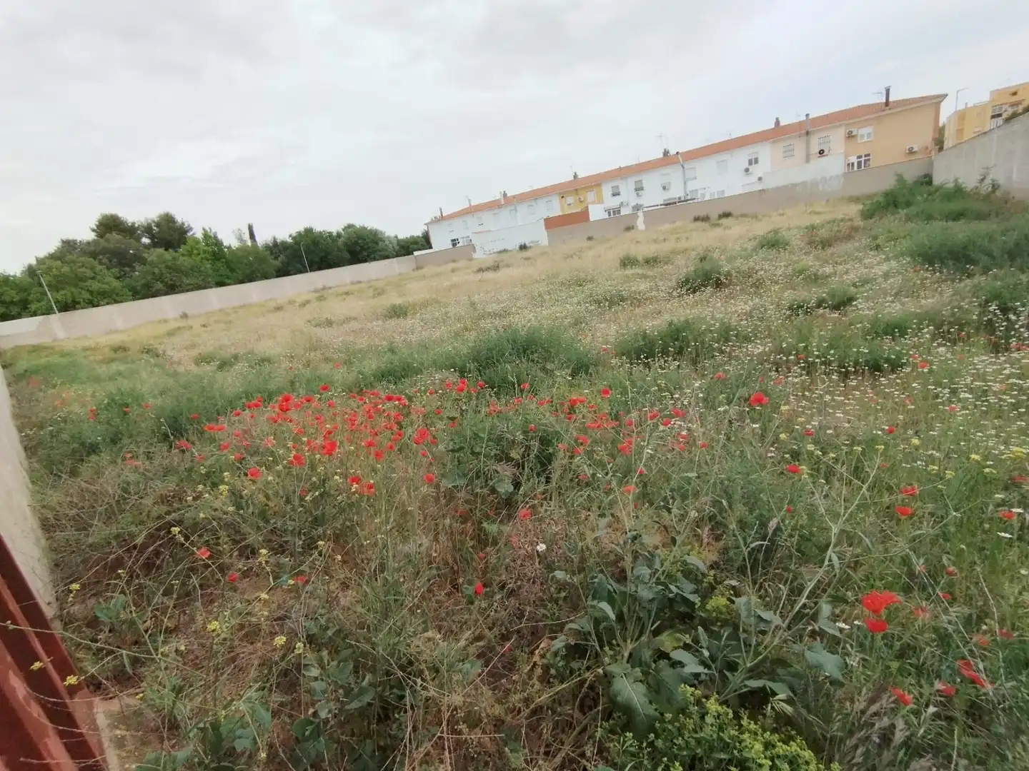 Terreny residencial en venda a Calle la Paz, imagen 16