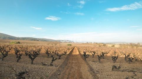 Foto 5 de Casa adosada en venda a Sant Martí Sarroca, Barcelona