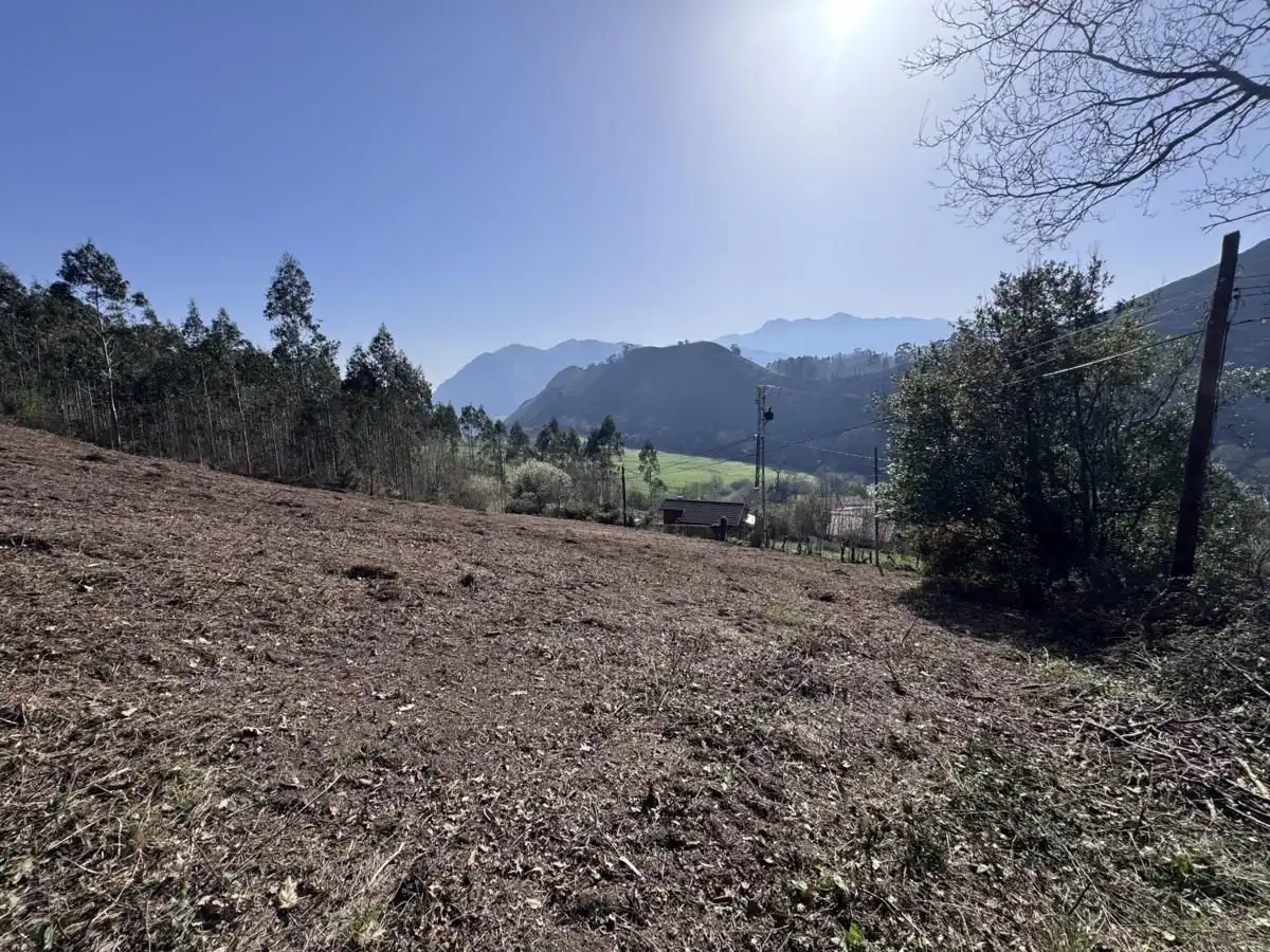 Grundstücke und Bauplätze zum Verkauf in Vibaña - Ardisana - Caldueño