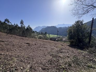 Grundstücke und Bauplätze zum Verkauf in Vibaña - Ardisana - Caldueño