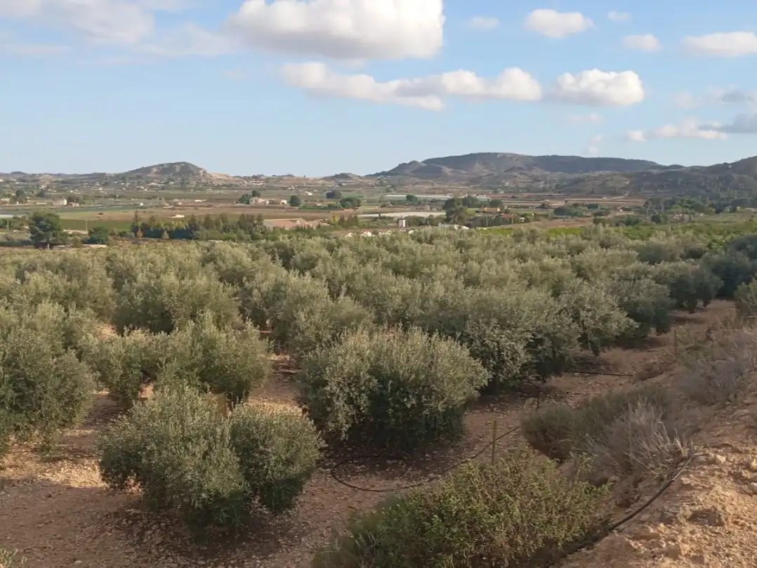 Residential for sale in Camino Miguelayo, 2, Pedanías Oeste
