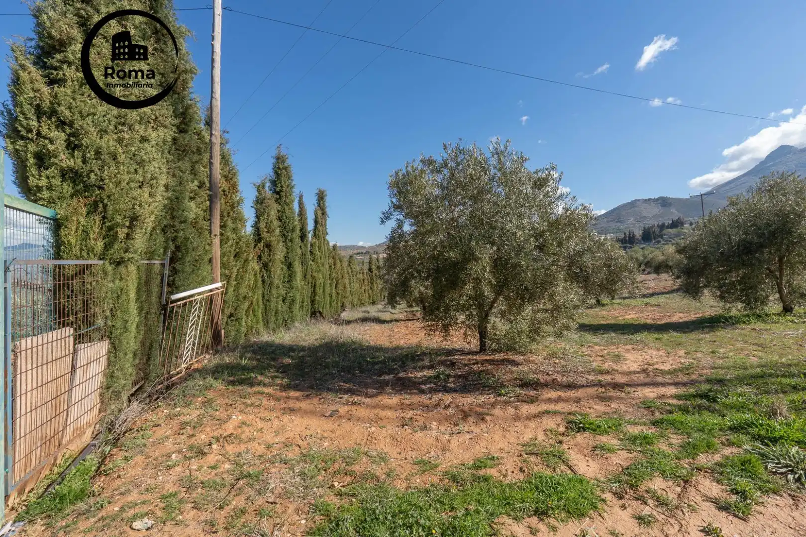 Terreni e lotti in vendita a Cogollos de la Vega, imagen 18