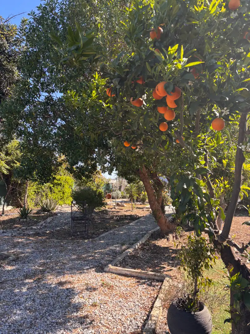 Jardín de Casa o chalet en venta en Alhaurín de la Torre con Aire acondicionado, Calefacción y Jardín privado