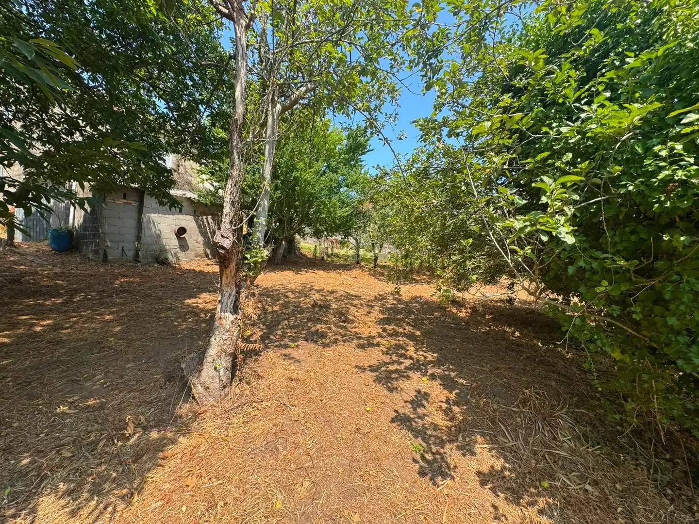 Country homes for sale in Cangas   with Private garden