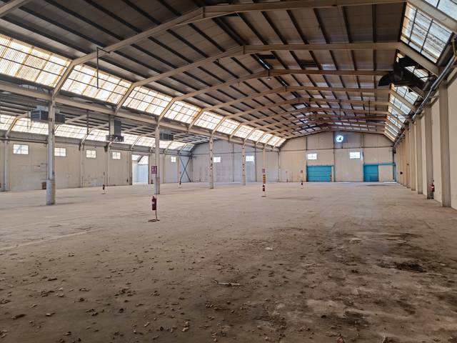 Nave industrial en Alquiler en El Pino