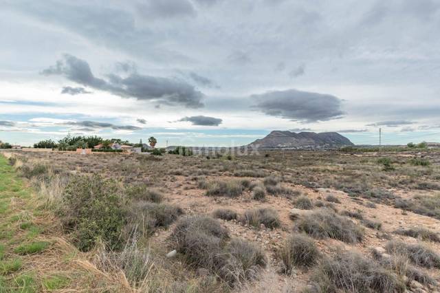 Terreno residencial en Venta en Calle Fatsia en Cañada del Fenollar