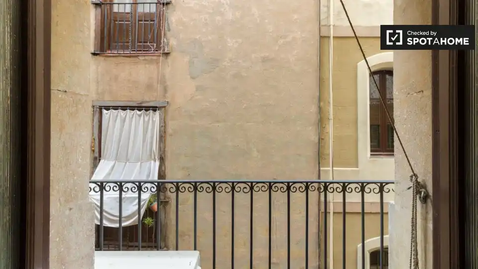 Appartamento con terrazza in affitto a Ciutat Vella, imagen 15