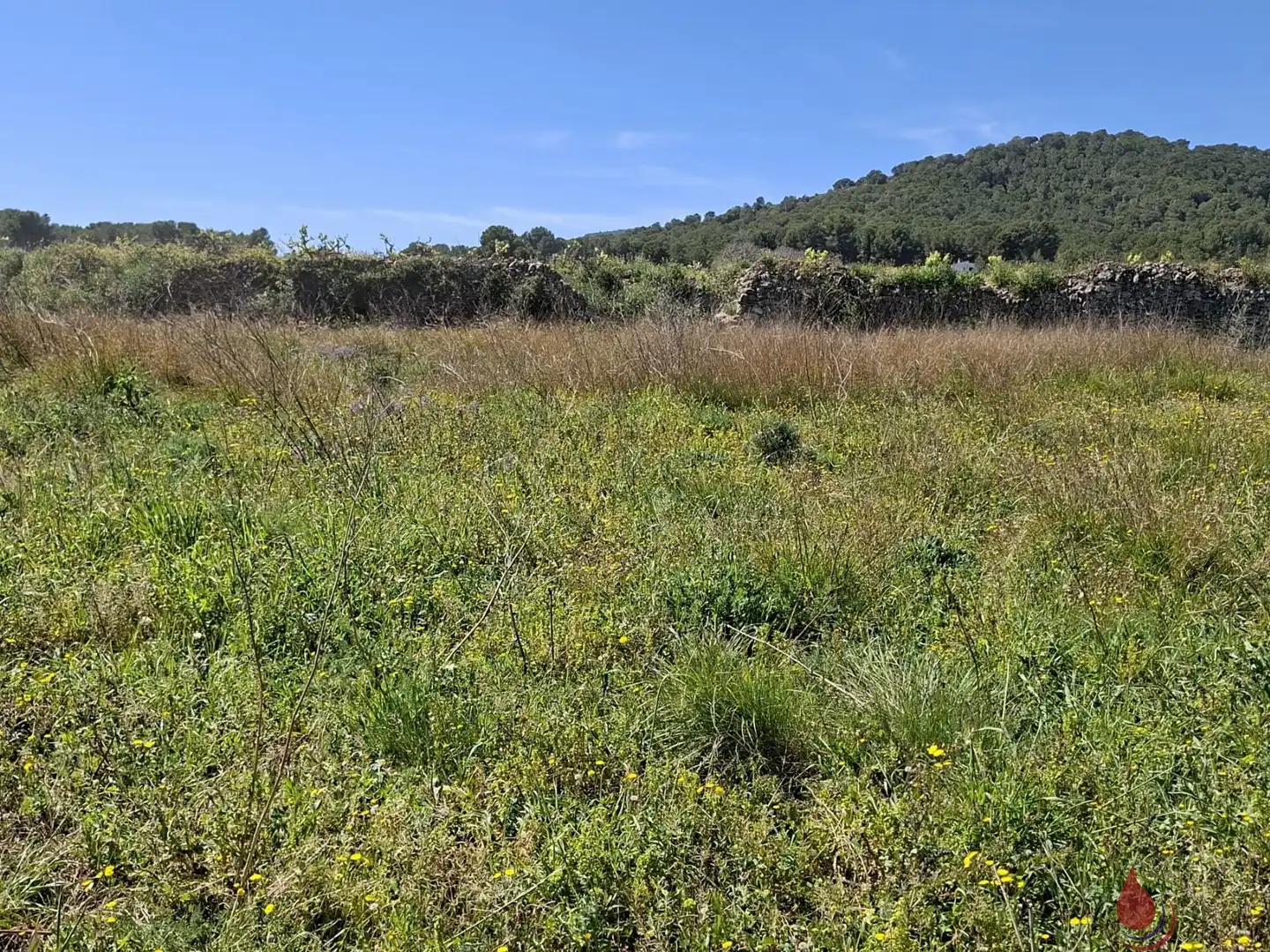 Terrenos y solares en venta en CTRA EL VENDRELL 593, imagen 4