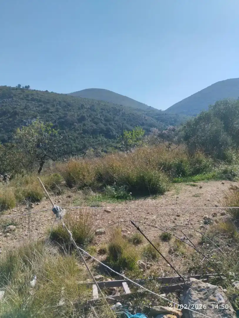 Finca rústica en venda en Llucena / Lucena del Cid