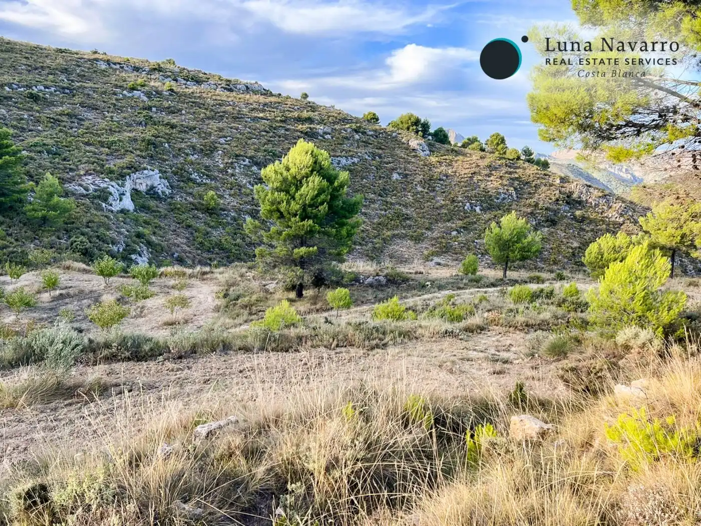 Terreno en venta en Calle San Antonio, 50, Confrides