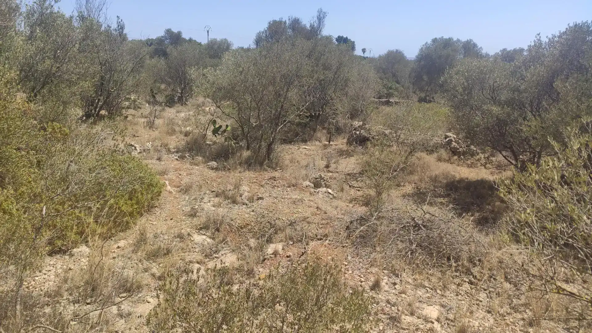 Terreny en venda en Marratxí