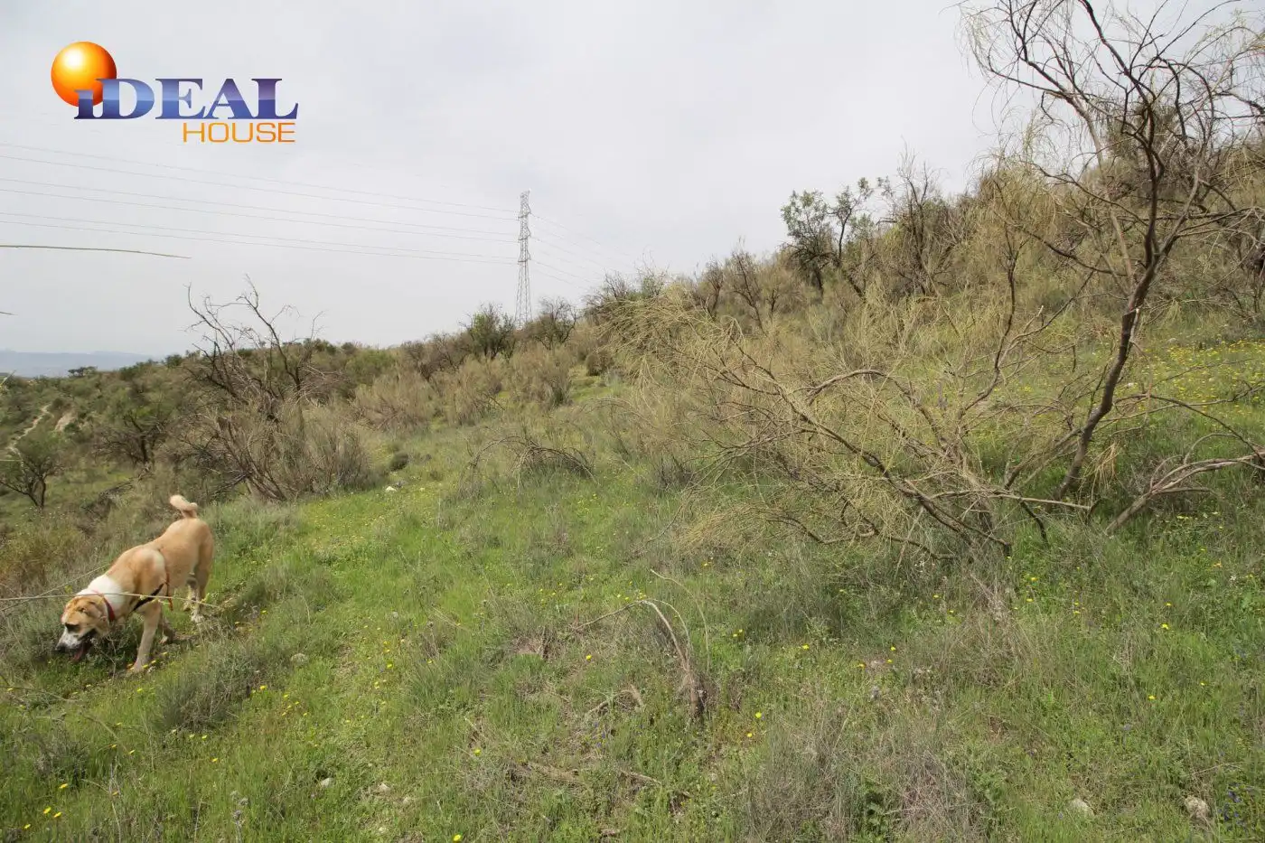 Country homes for sale in Víznar