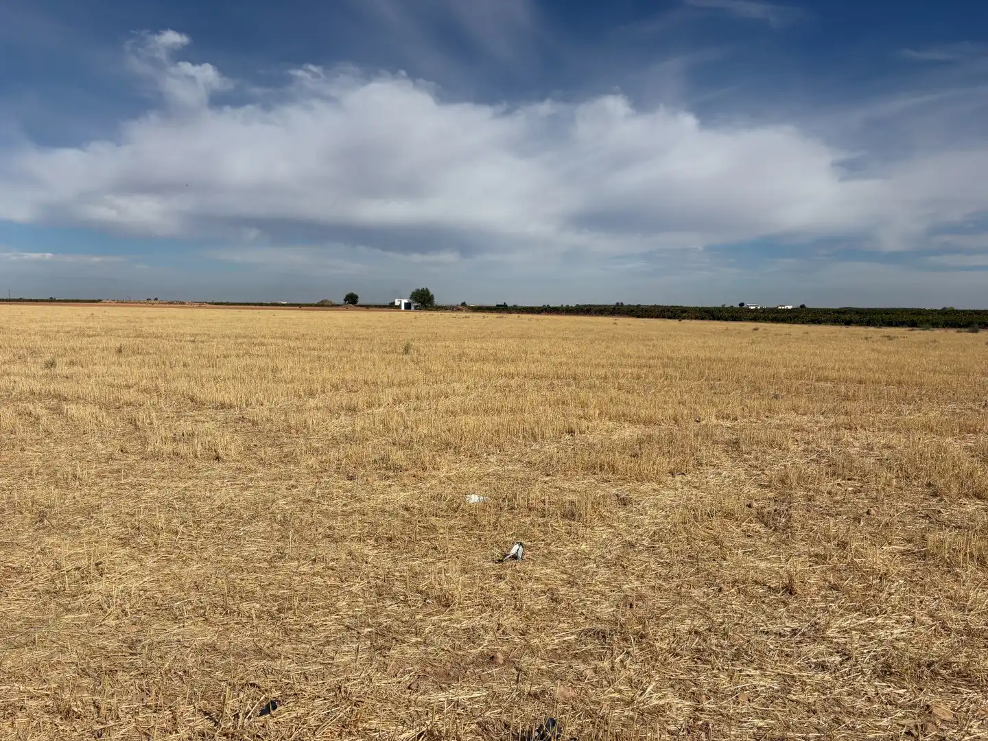 Rural land for sale in CM-400 580
