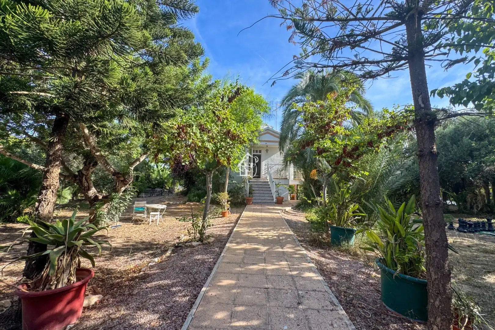 Jardín de Casa o chalet de alquiler en Torrevieja con Piscina y Amueblado