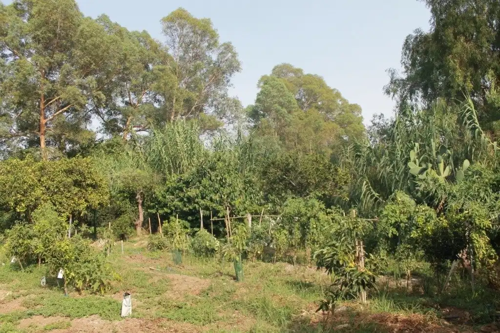 Casa o xalet en venda en San Martín del Tesorillo amb Calefacció, Jardí privat i Terrassa