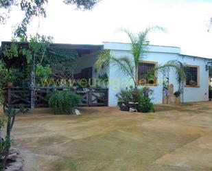 Jardí de Casa o xalet en venda en Cheste amb Terrassa i Piscina