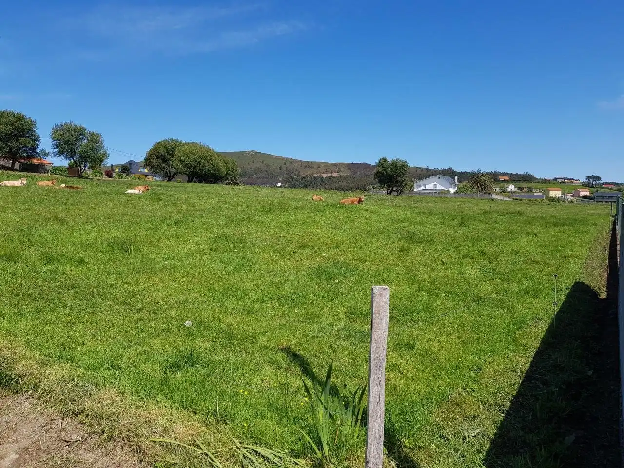 Terrenys i solars en venda a Lugar Montefaro, imagen 3