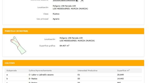 Foto 4 de Terreno en venta en Pasaje de Los Carriones, Los Martinez del Puerto, Murcia Capital