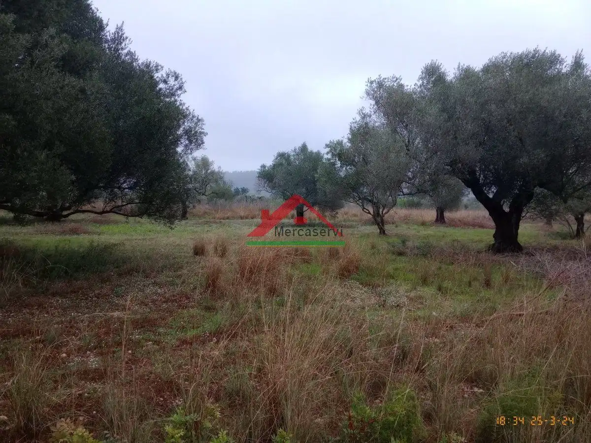 Finca rústica en venta en Vinaròs
