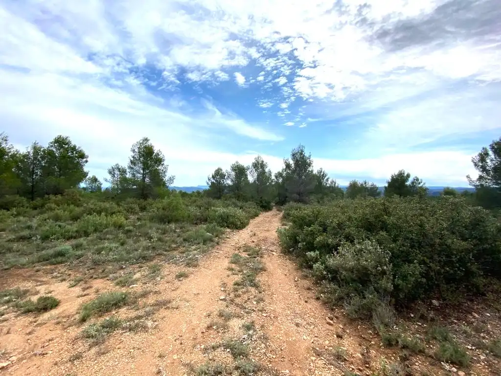 Terreno residencial en venta en 7, imagen 5