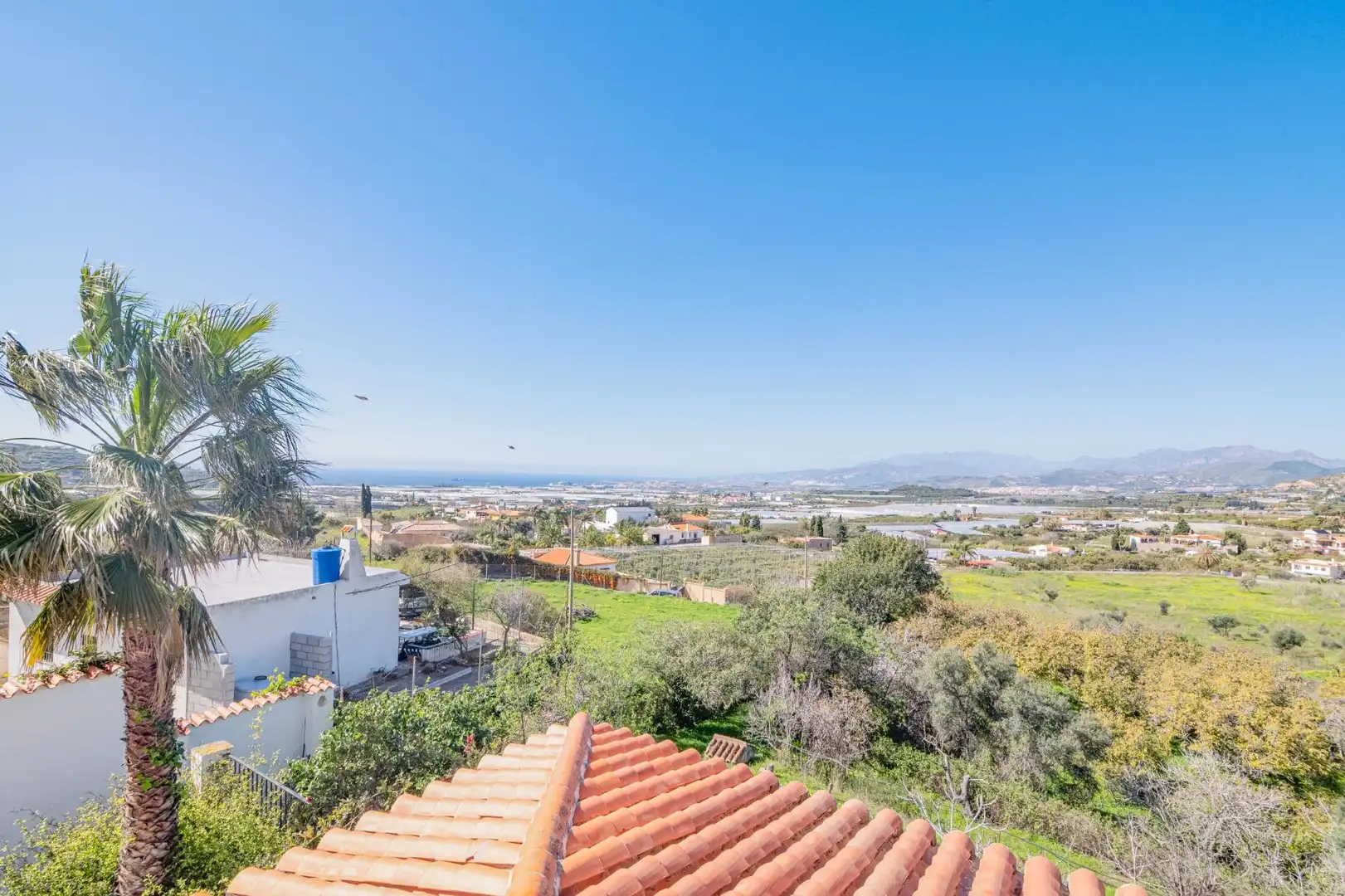 Vista exterior de Casa o chalet en venta en Motril con Jardín privado, Terraza y Piscina