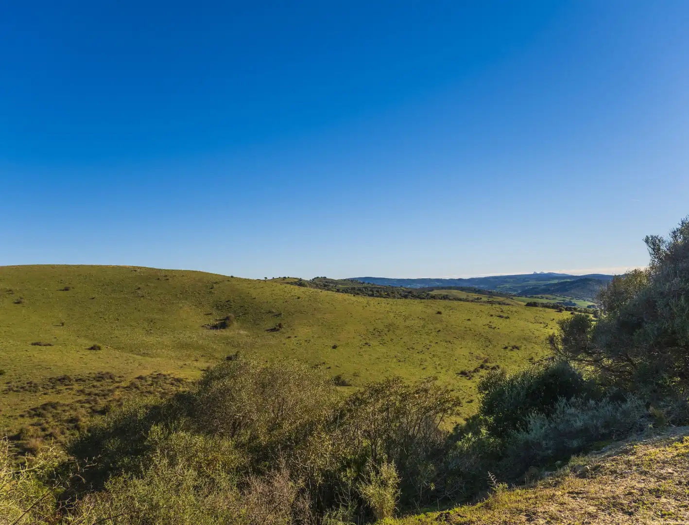 Finca rústica en venda en San Martín del Tesorillo amb Aire condicionat, Jardí privat i Terrassa