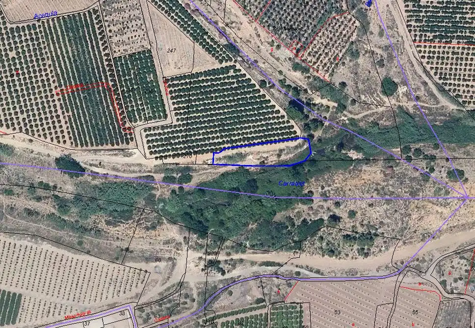Terreno rustico in vendita a Polígono 87 Parcela 36, PLA PINELA, imagen 9